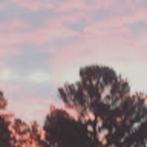 Meet your Posher, Carson